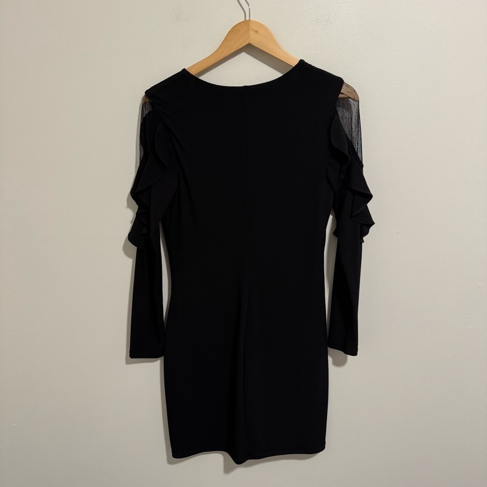 Express Ruffle Sleeve Mesh Mini Dress - Picture 5 of 6
